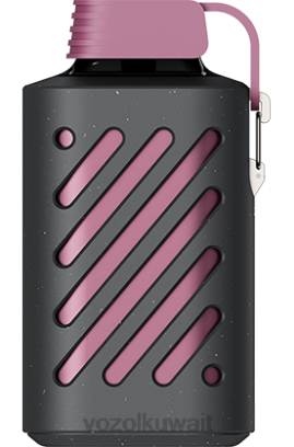 VOZOL Vape For Sale - VOZOL GEAR 10000 X00B300 فاكهة الباشن فروت، التوت، اليوسفي