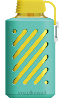 VOZOL Vape Price - VOZOL GEAR 10000 X00B298 ميامي النعناع