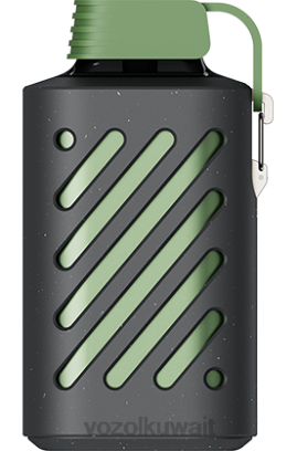 VOZOL Vape سعر - VOZOL GEAR 10000 X00B297 الجليد الخصب