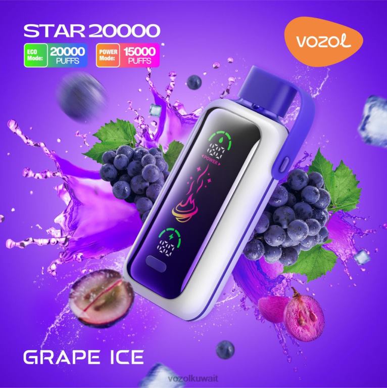 VOZOL STAR 20000 FLH0X9 جليد العنب Vozol فيب