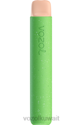 VOZOL فيب - VOZOL STAR 600 X00B101 ثلج البطيخ