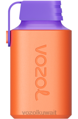 VOZOL Vape Price - VOZOL GEAR 600 X00B348 جليد العنب التوت البري