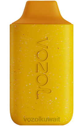 VOZOL Vape Flavours - VOZOL STAR 6000 X00B119 مانجو خوخ أناناس
