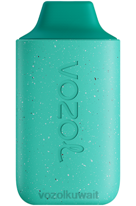 VOZOL Vape For Sale - VOZOL STAR 6000 X00B110 نعناع منعش