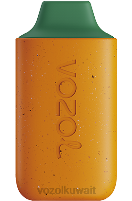 VOZOL Vape For Sale - VOZOL STAR 6000 X00B120 مانجو خوخ بطيخ