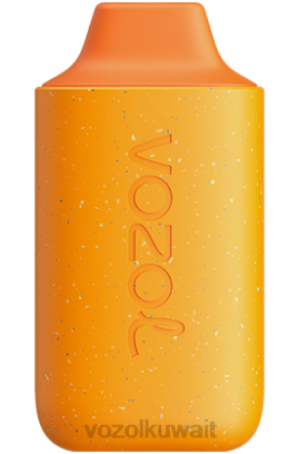 VOZOL Vape Kuwait - VOZOL STAR 6000 X00B124 لاتيه اليقطين