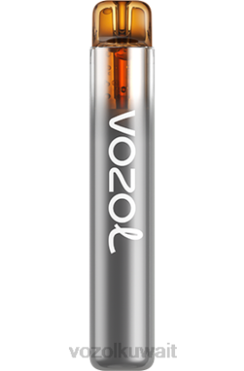 VOZOL Vape Flavours - VOZOL NEON 800 X00B249 كيوي باشن فروت جوافة