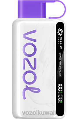 VOZOL Vape Flavours - VOZOL STAR 9000/12000 X00B39 التوت البري، المانجو، الجريب فروت