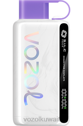 VOZOL Vape Kuwait - VOZOL STAR 9000/12000 X00B24 جليد العنب